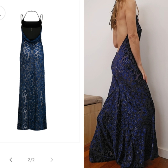 Rat & Boa Dresses & Skirts - Nwot revolve studio pm Luxury Cobalt Velvet Leopard Semi Sheer Maxi Dress Gown s